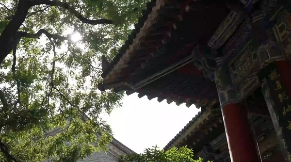 211687310940830564.jpeg 10.jpg